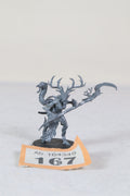 Branchwych