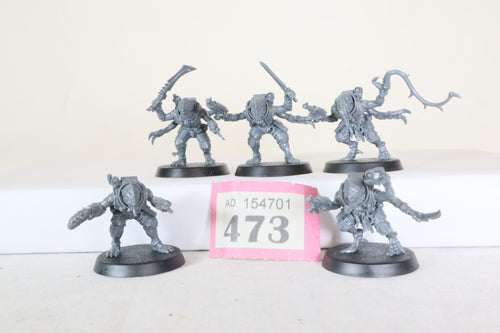 Acolyte Hybrids