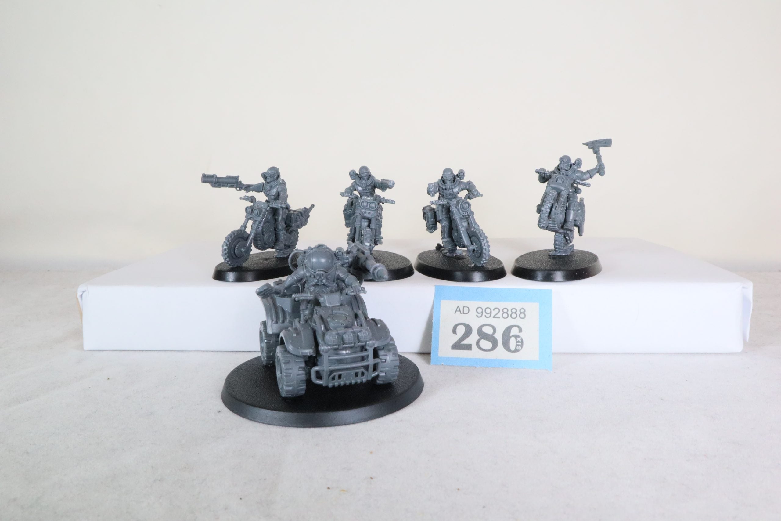 Atalan jackals