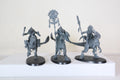 Aggradon Lancers