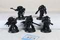Red Corsairs Raiders