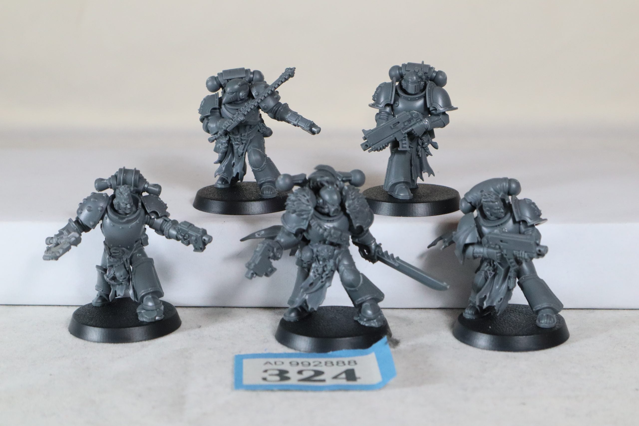 Red Corsairs Raiders