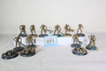 10 Necron Warriors and 3 scarabs