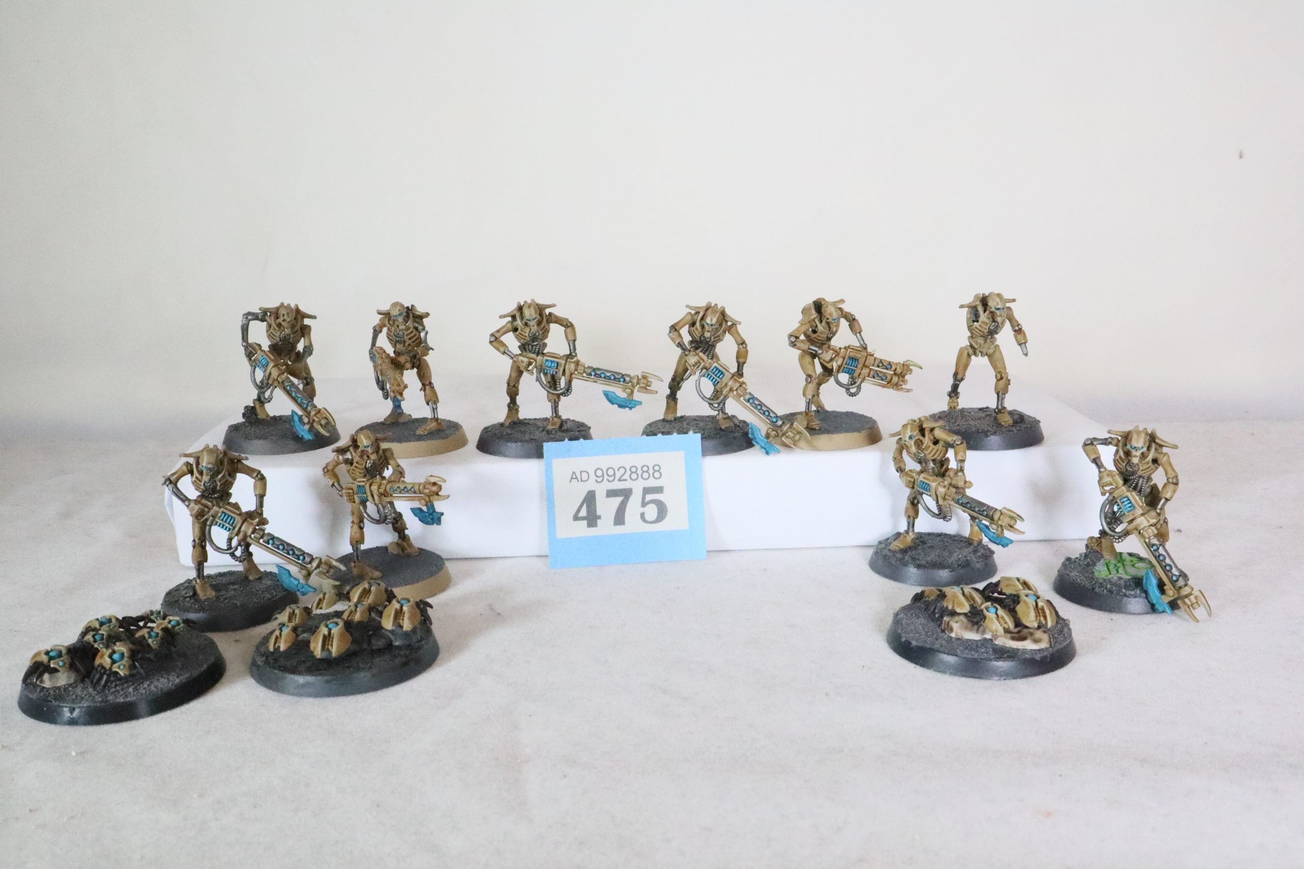 10 Necron Warriors and 3 scarabs