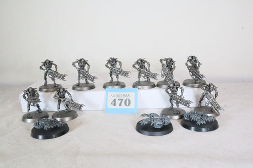 10 Necron Warriors and 3 scarabs