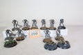 10 Necron Warriors and 3 scarabs
