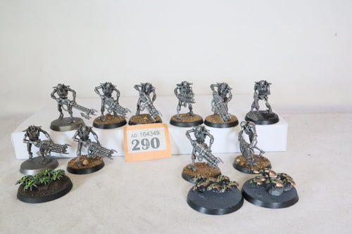 10 Necron Warriors and 3 scarabs
