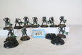 10 Necron Warriors and 3 scarabs