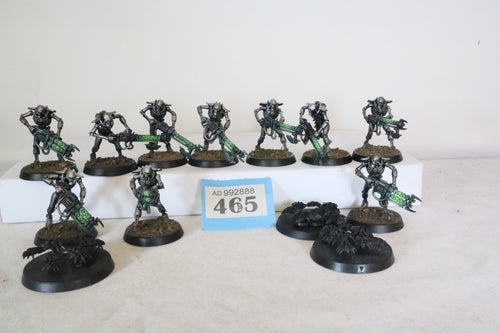 10 Necron Warriors and 3 scarabs