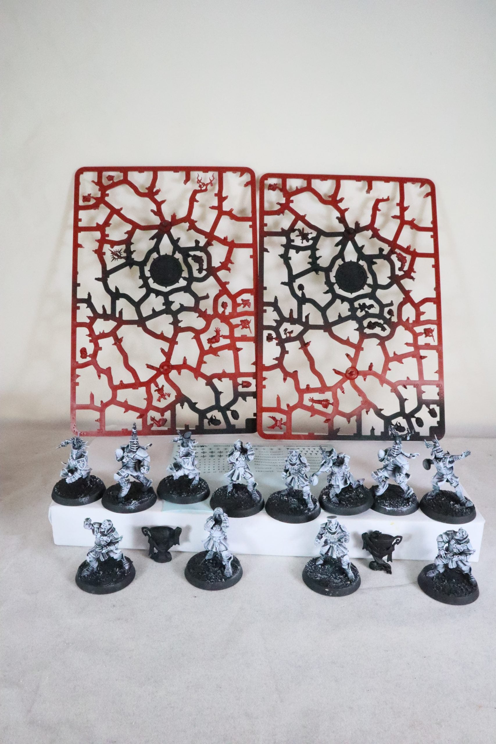 bretonian blood bowl team
