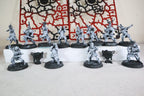 bretonian blood bowl team part built with transfer sheet