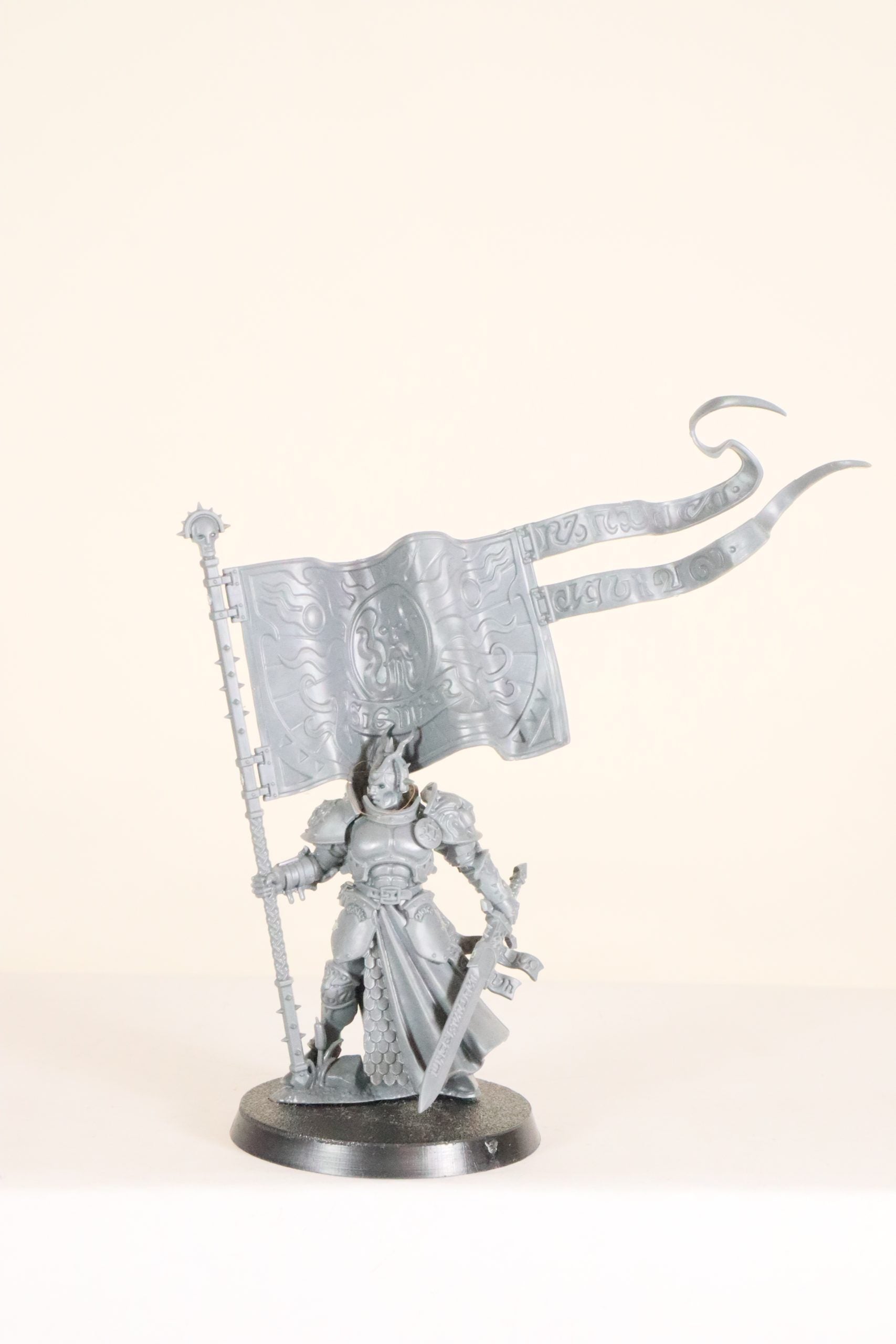 Knight-Vexillor with Banner of Apotheosis