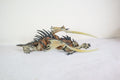 Hunters dragon clan