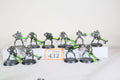 10 Necron Warriors