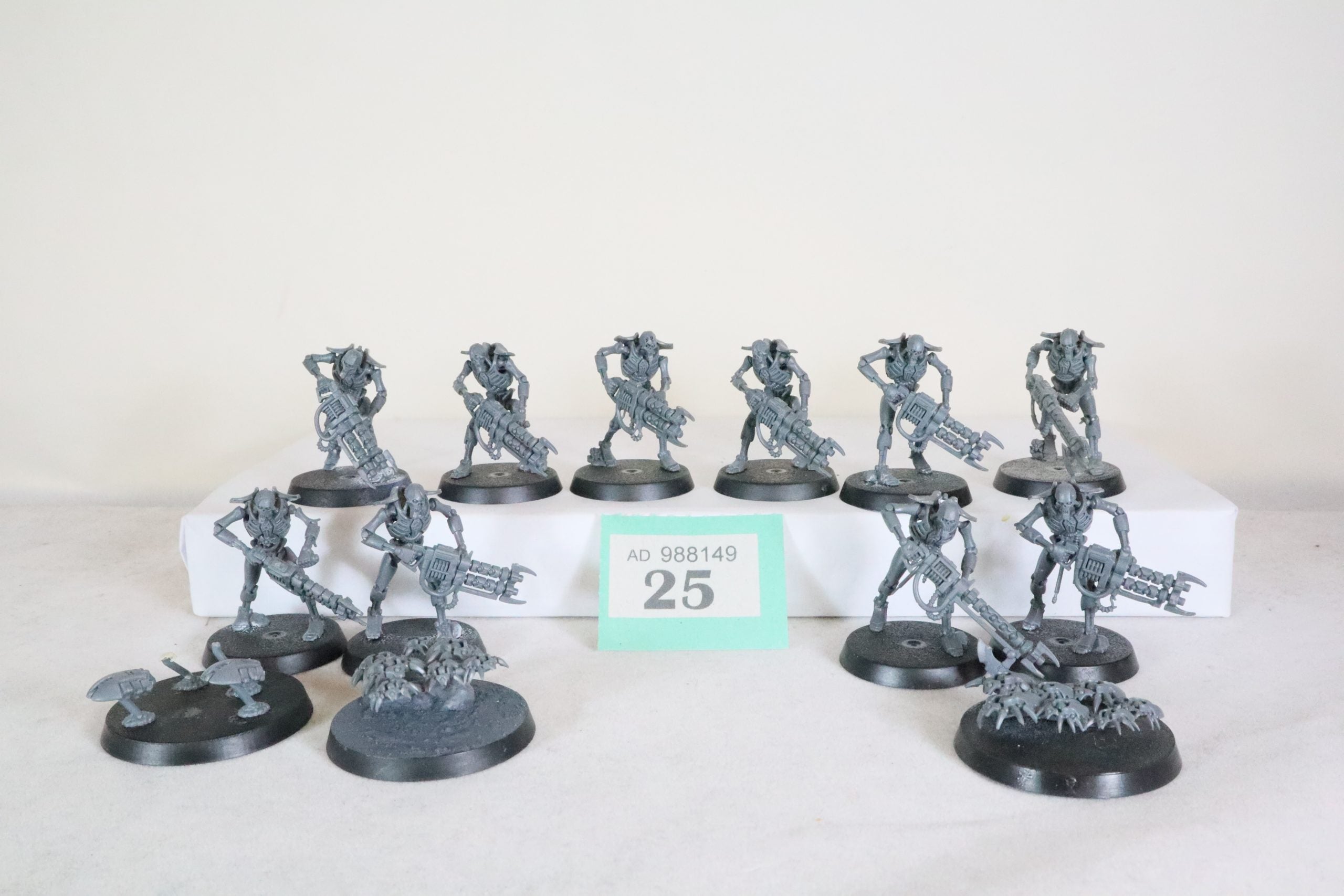 10 Necron Warriors
