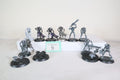 10 Necron Warriors