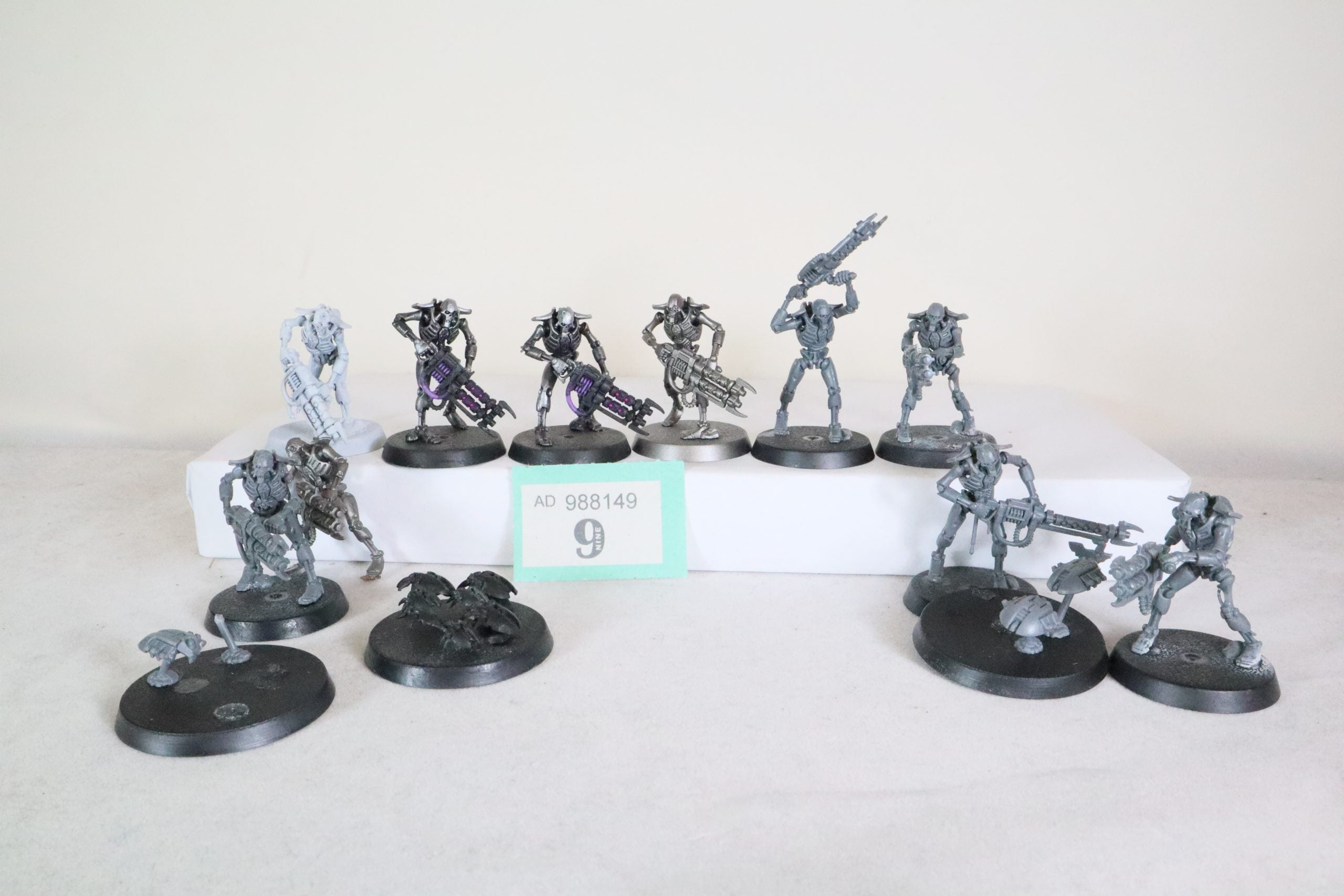 10 Necron Warriors