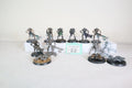 10 Necron Warriors