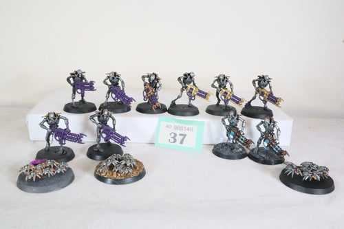 10 Necron Warriors