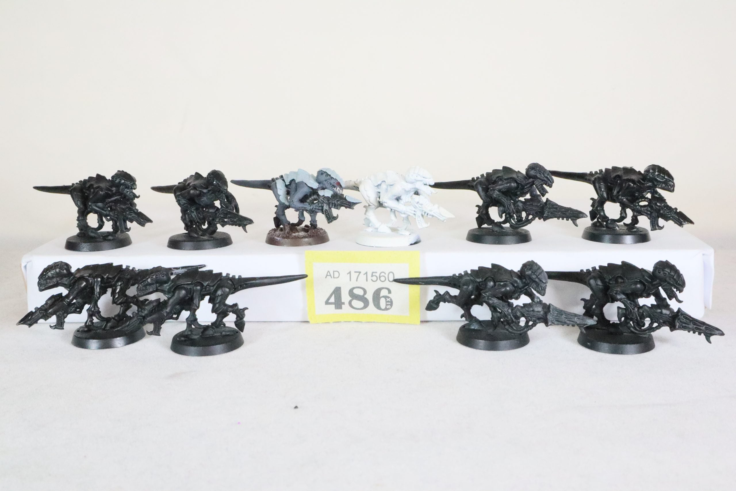 Termagants