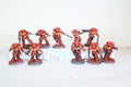 Assult intercessors