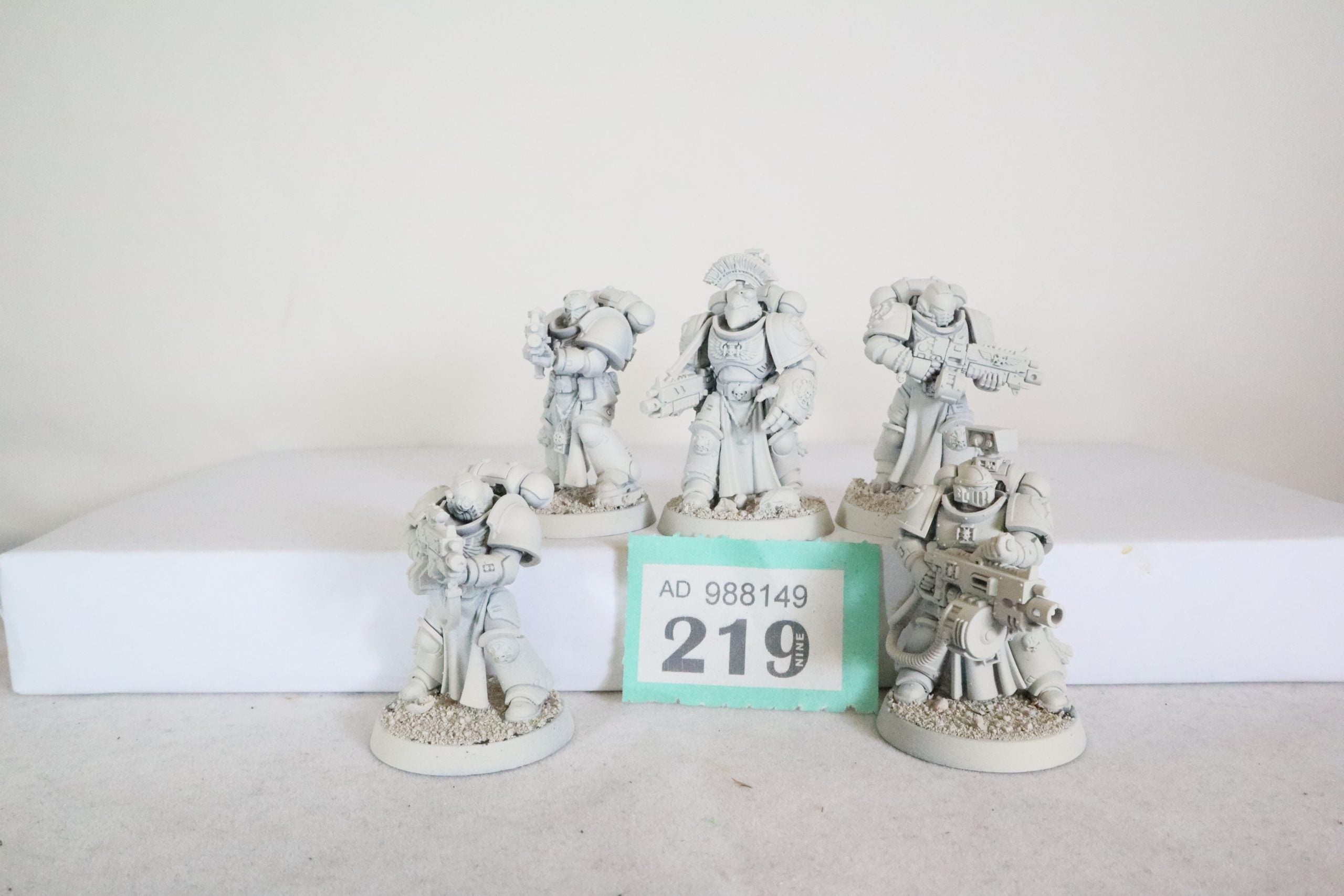 Imperial Fists Sternguad Veterans (G219)