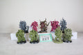 9 Death Guard Plague Marines (G227)
