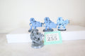 Devastators Squad (G255)