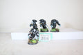 Raven Guard Custom Assault Marines