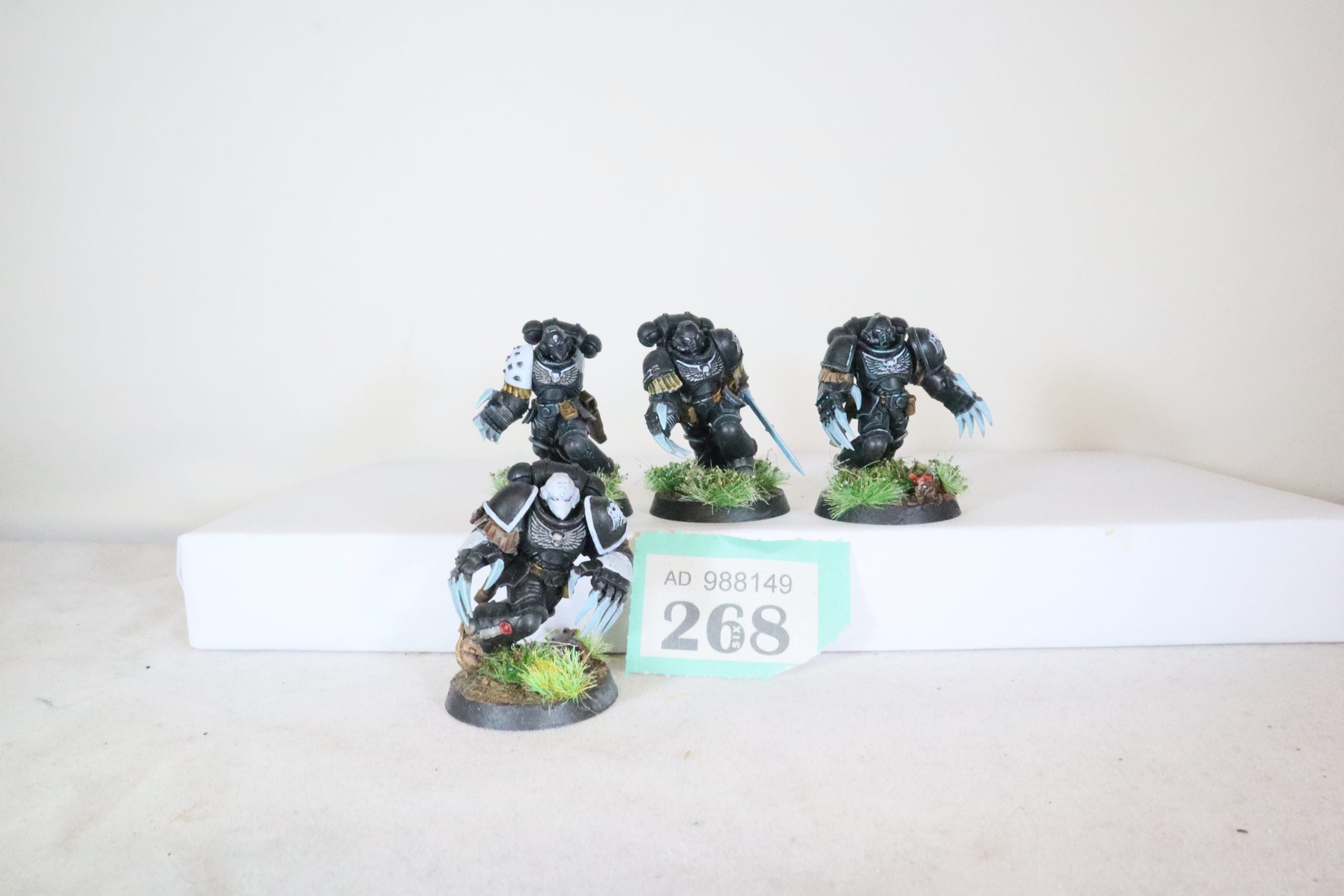 Raven Guard Custom Assault Marines