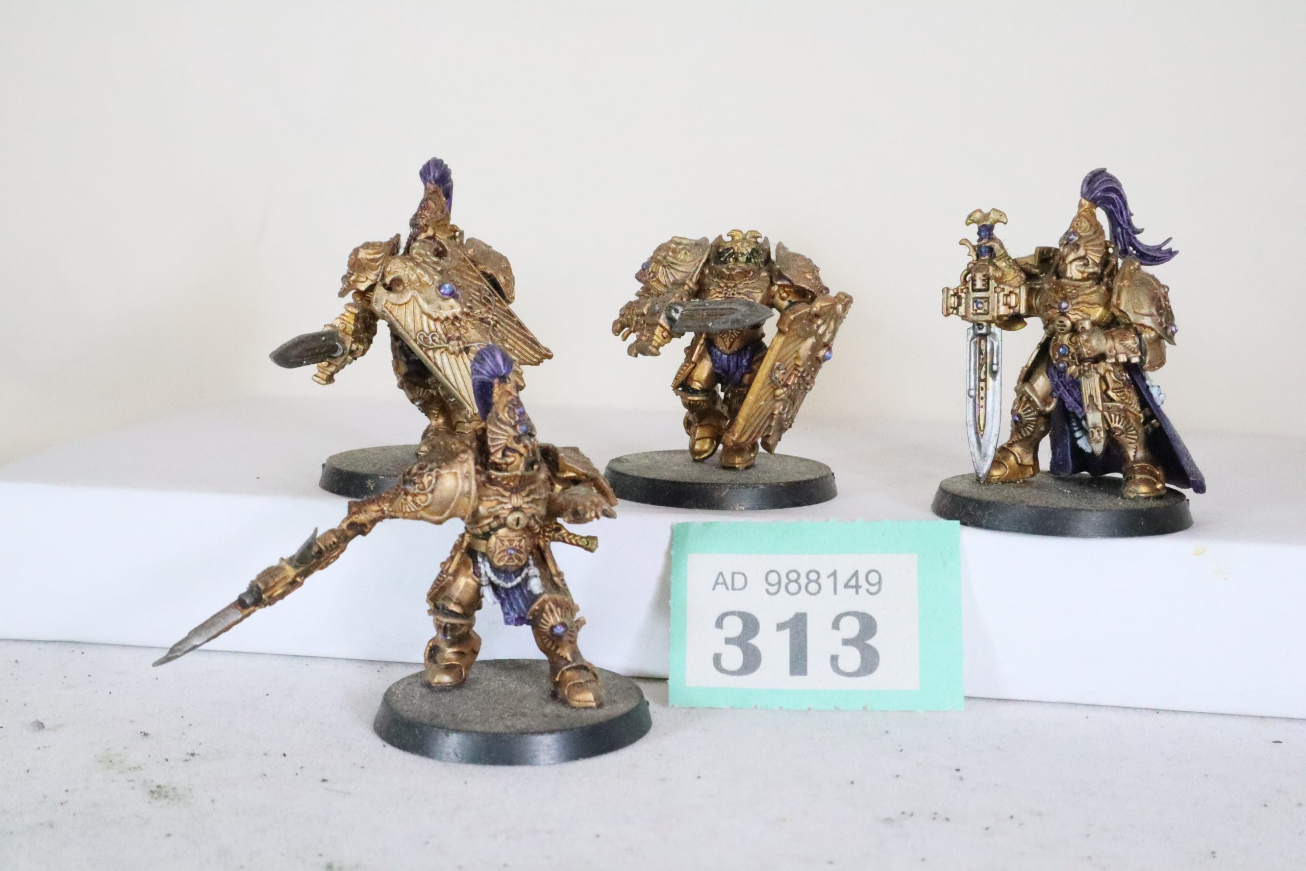 Adeptus Custodes G313