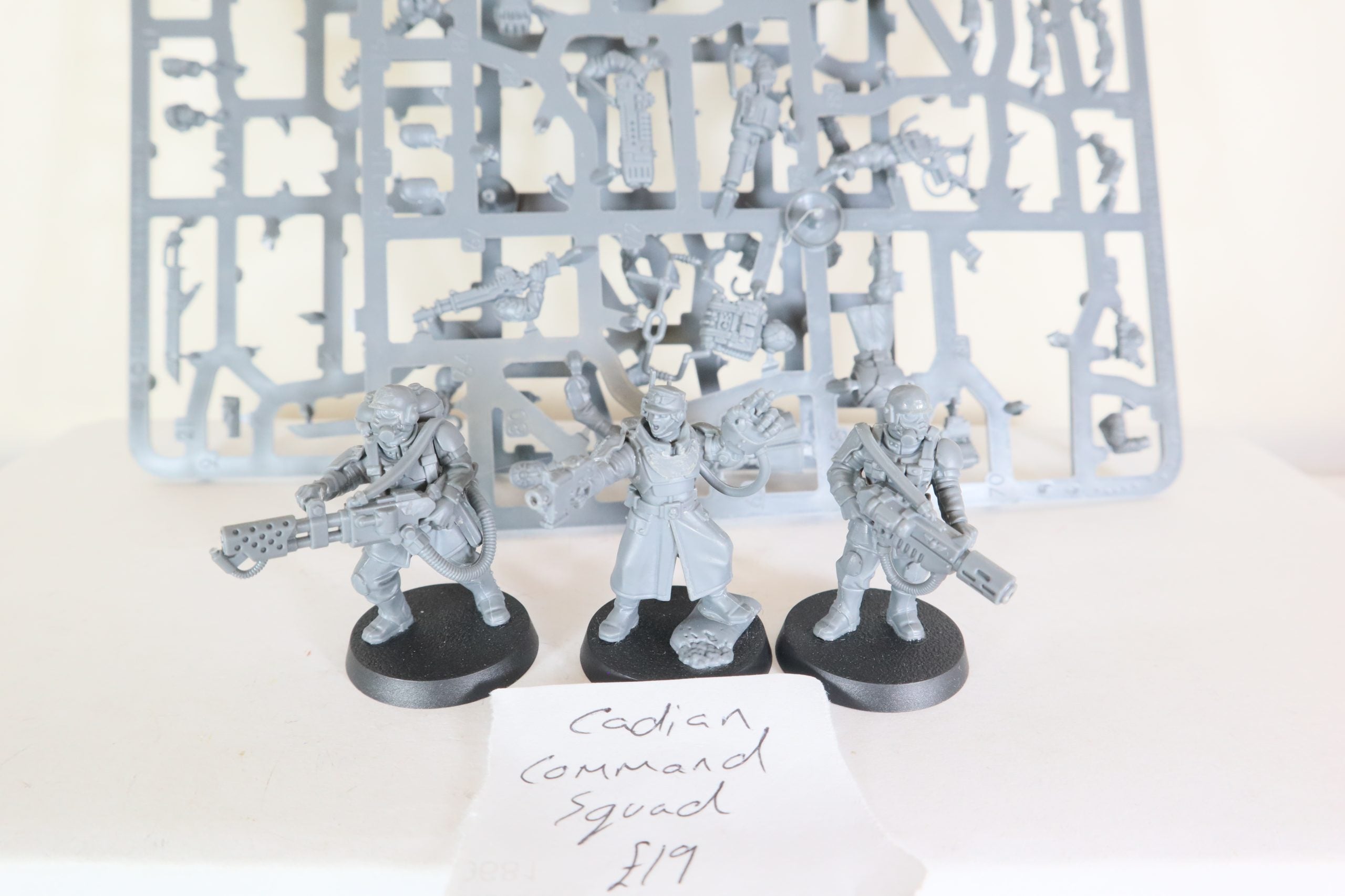 Cadian Command Squad (part- built)