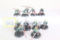 Skinks