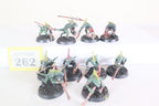 Skinks
