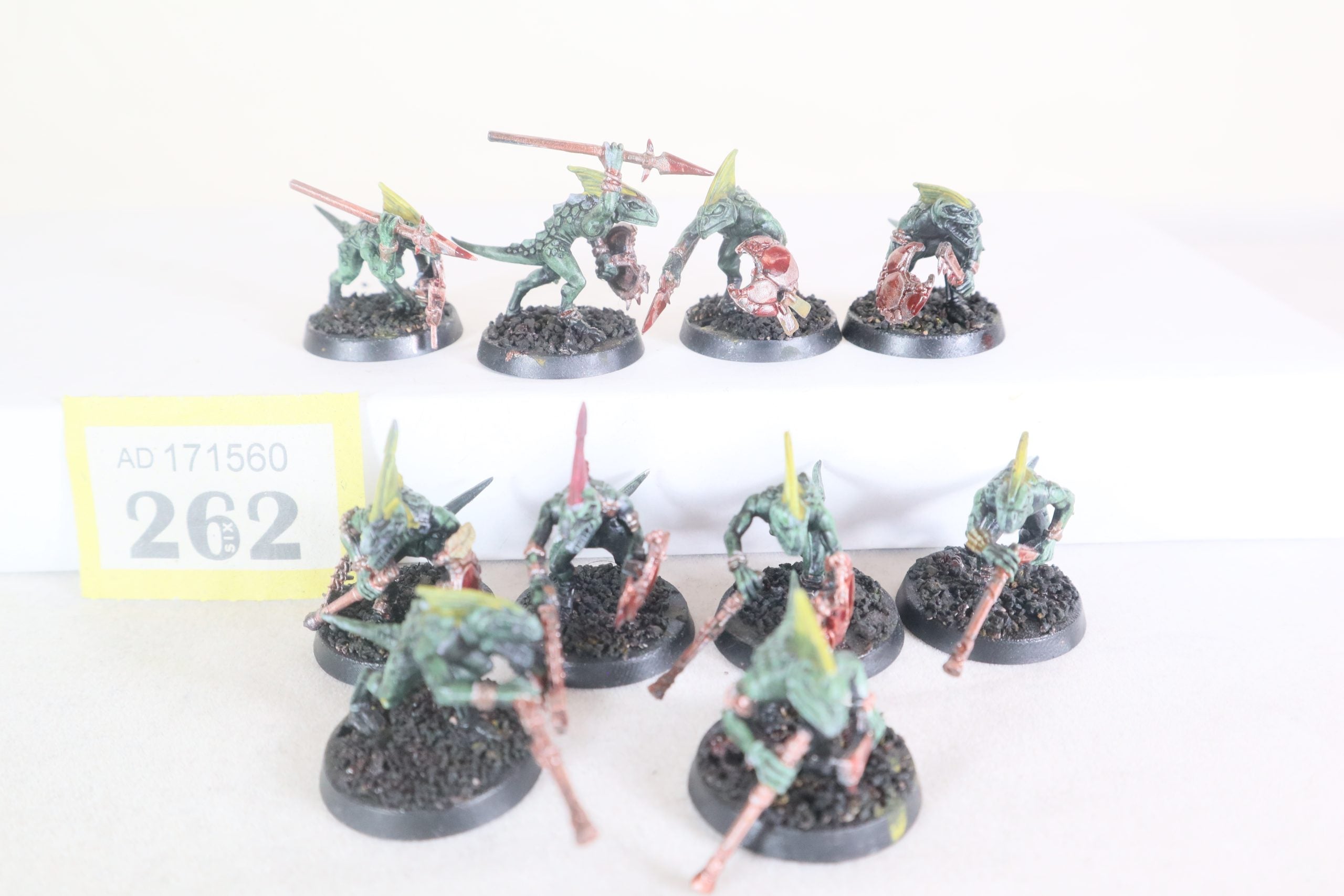 Skinks