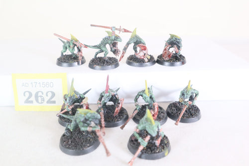 Skinks