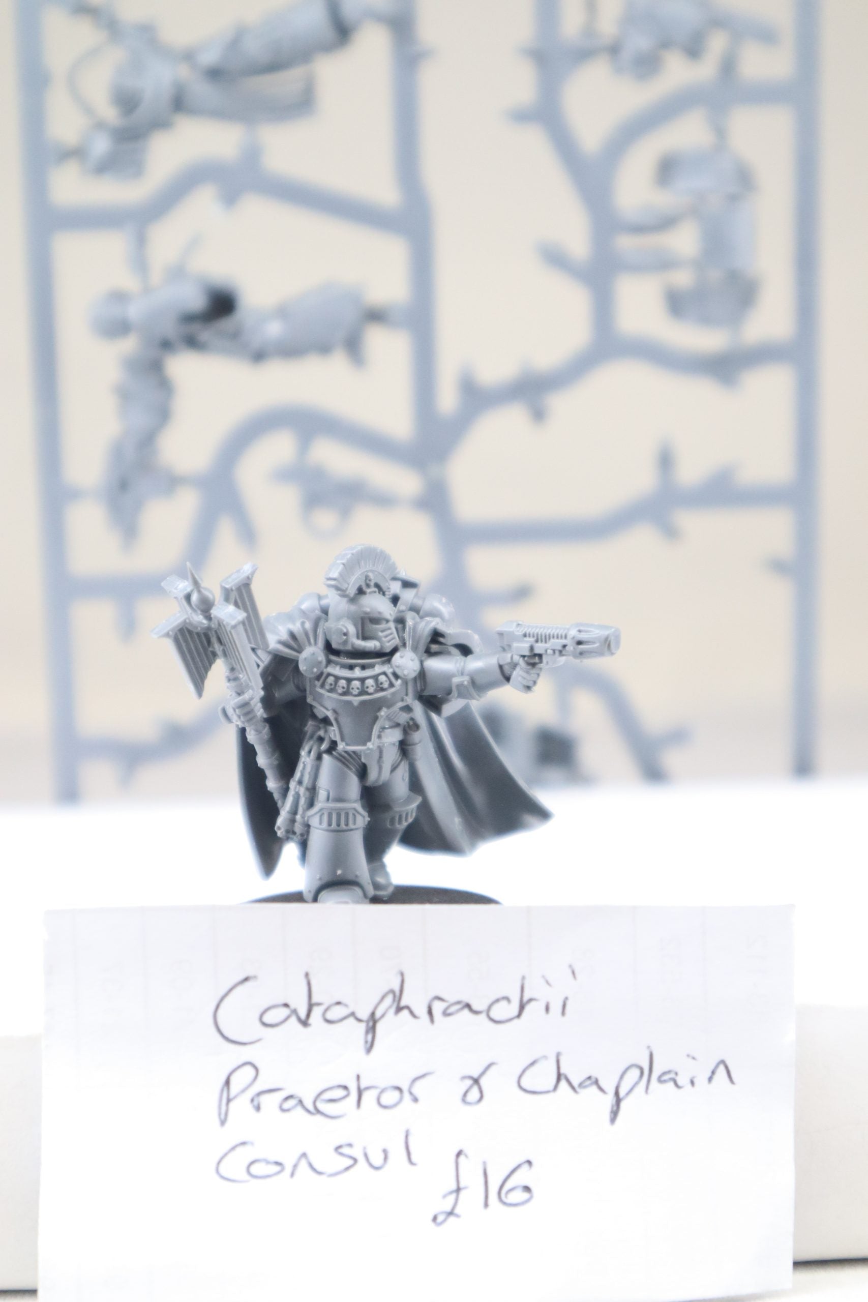 LEGION CATAPHRACTII PRAETOR & CHAPLAIN CONSUL
