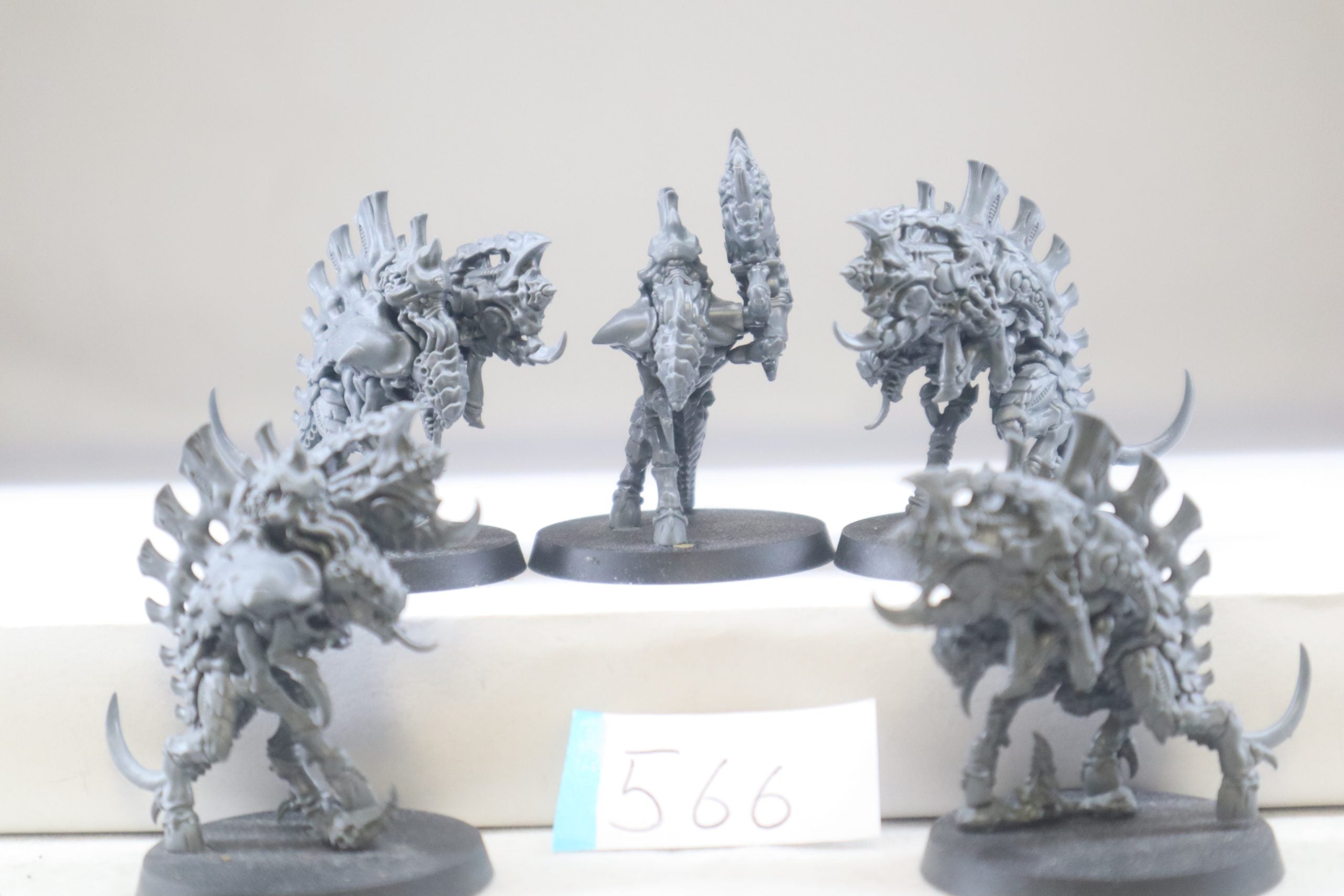 Barbgaunts (B566