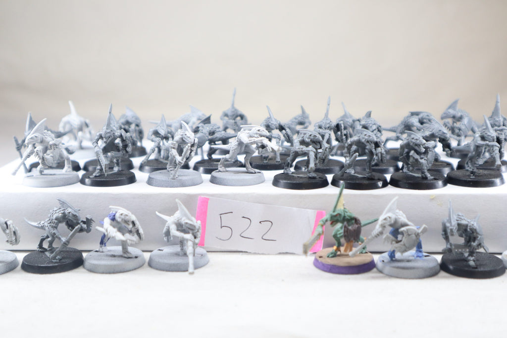 36 x Skinks (P522
