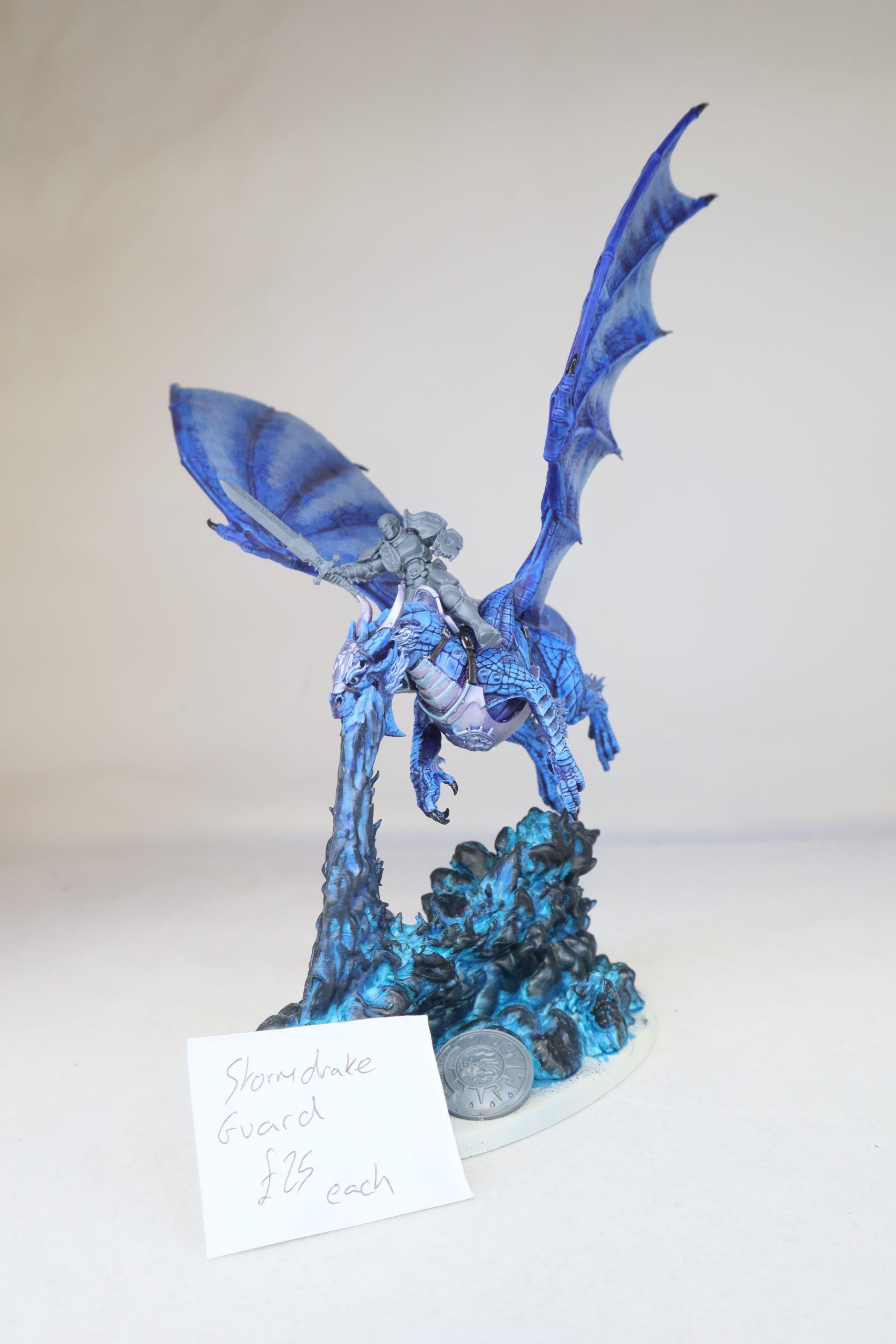 Stormdrake Guard
