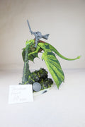 Stormdrake Guard
