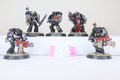 Deathwatch Veterans (P536