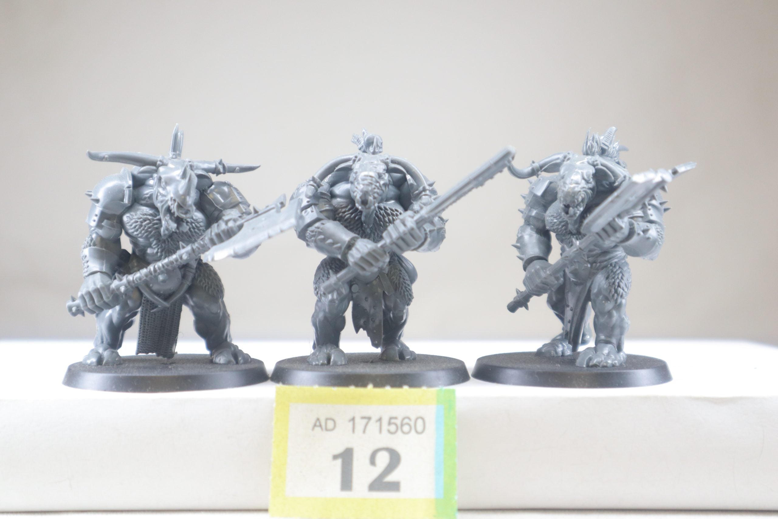 Minotaurs Yb12