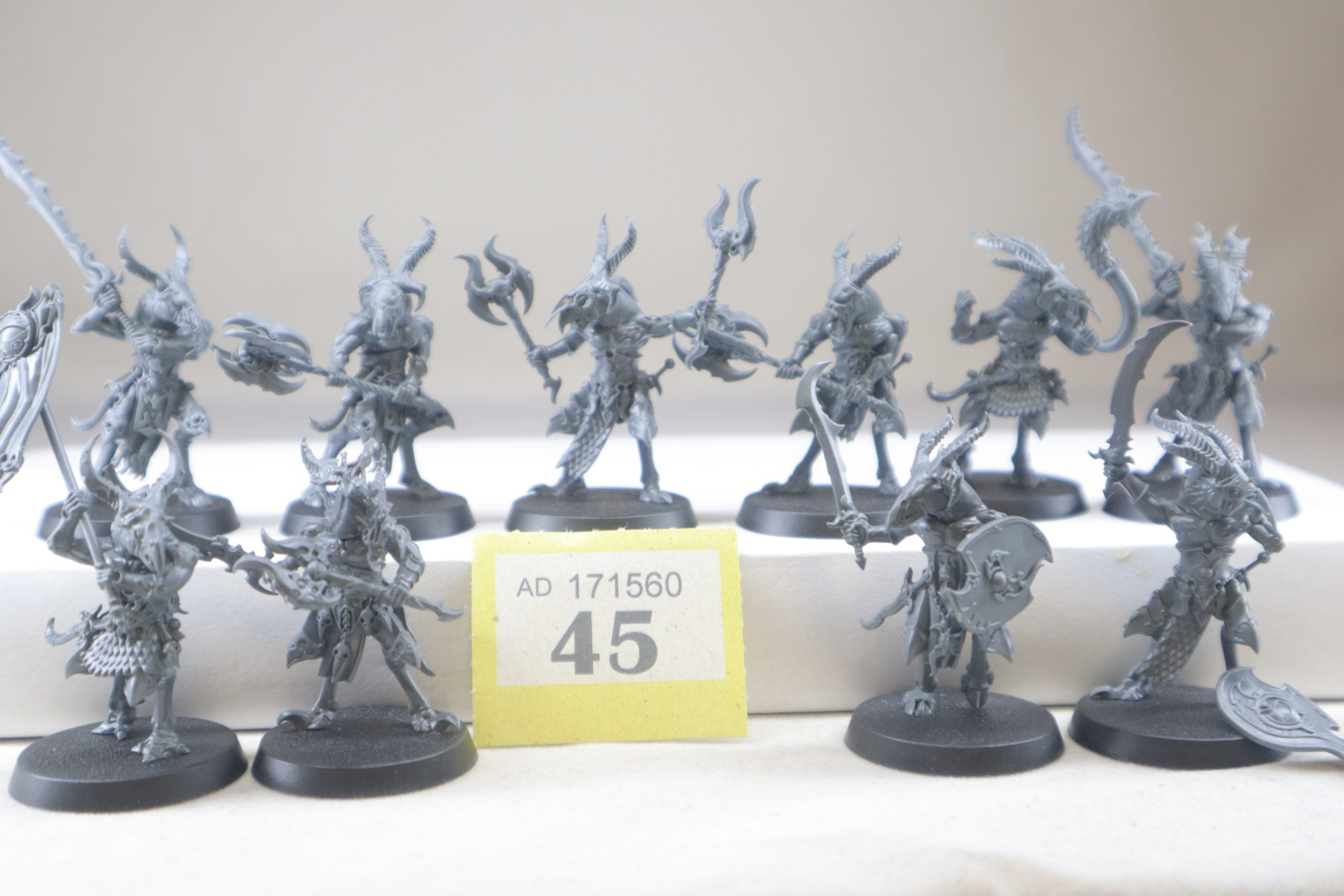 10 Tzaangors (Y45