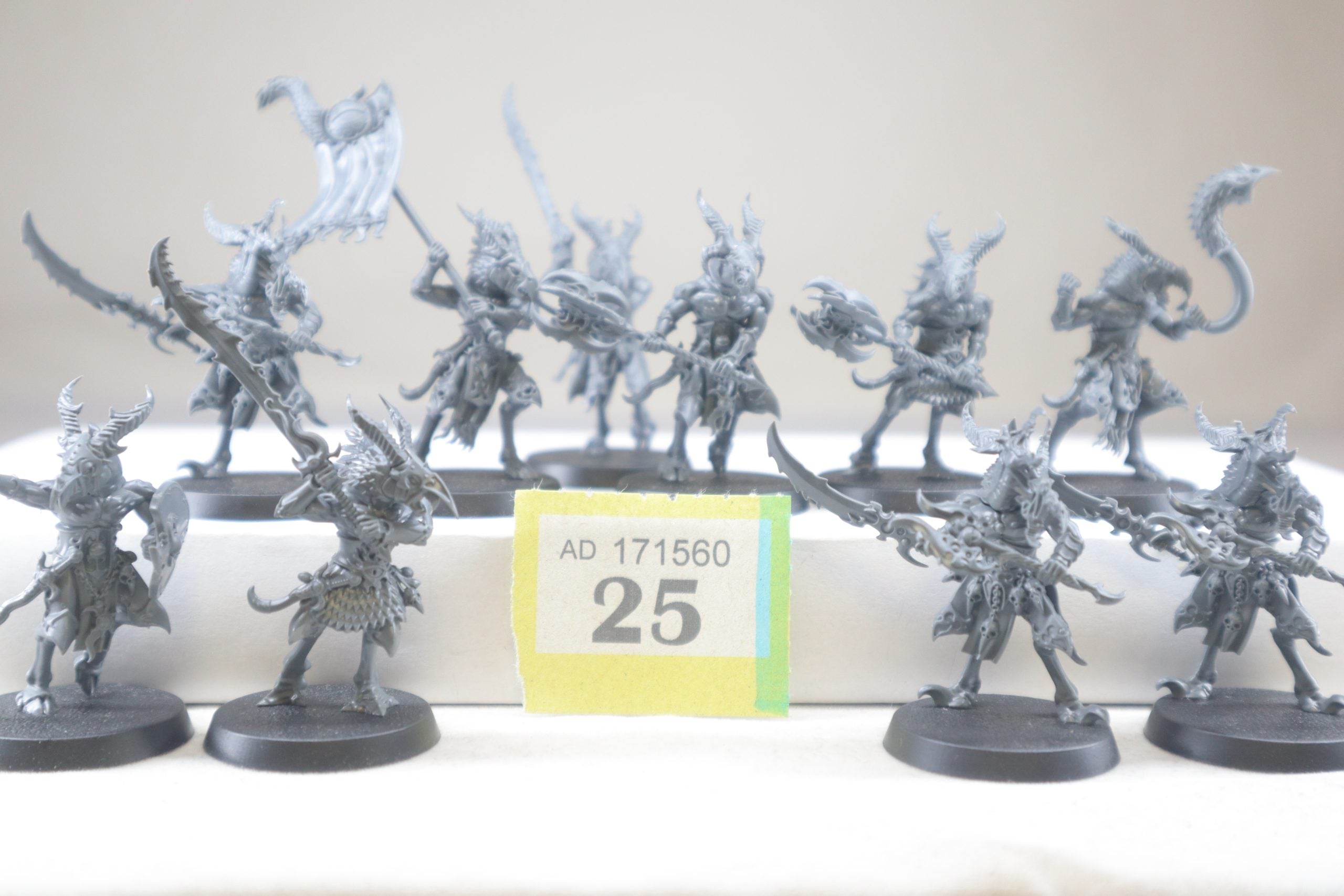 10 Tzaangors (YB25