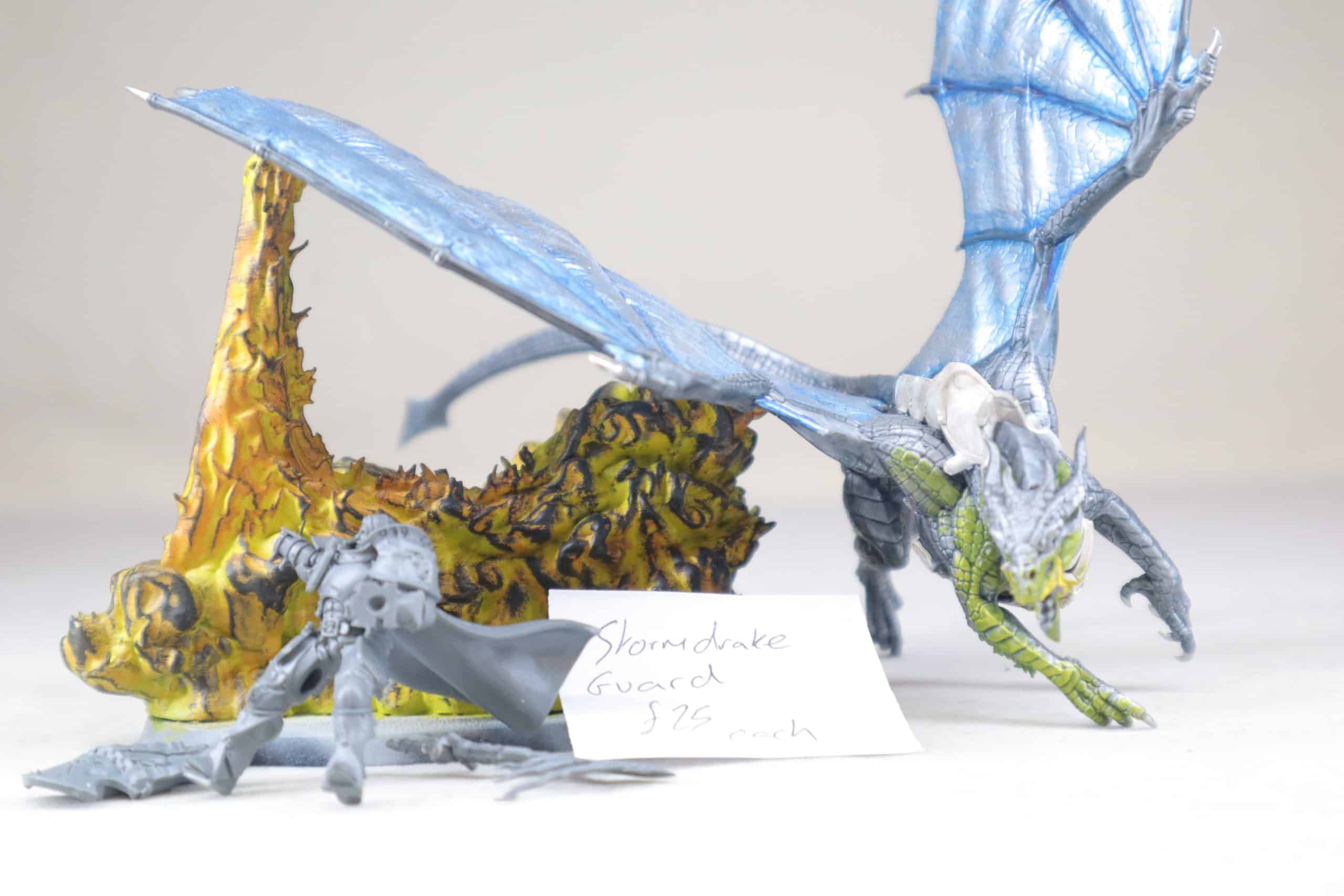 Stormdrake Guard