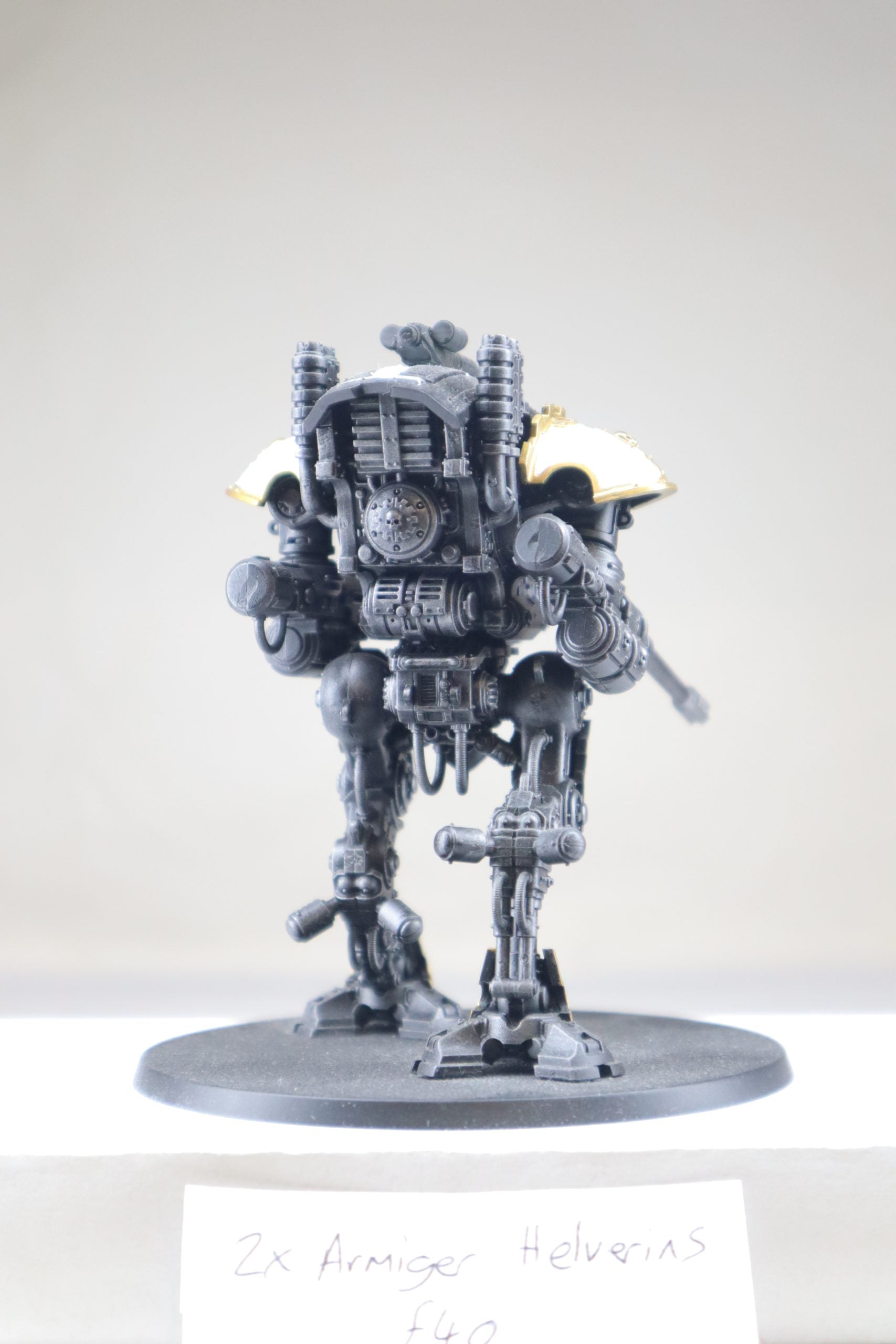 Armiger Helverin