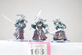 Inner Circle Companions x3 (p163