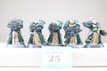 sternguard veterans (G25