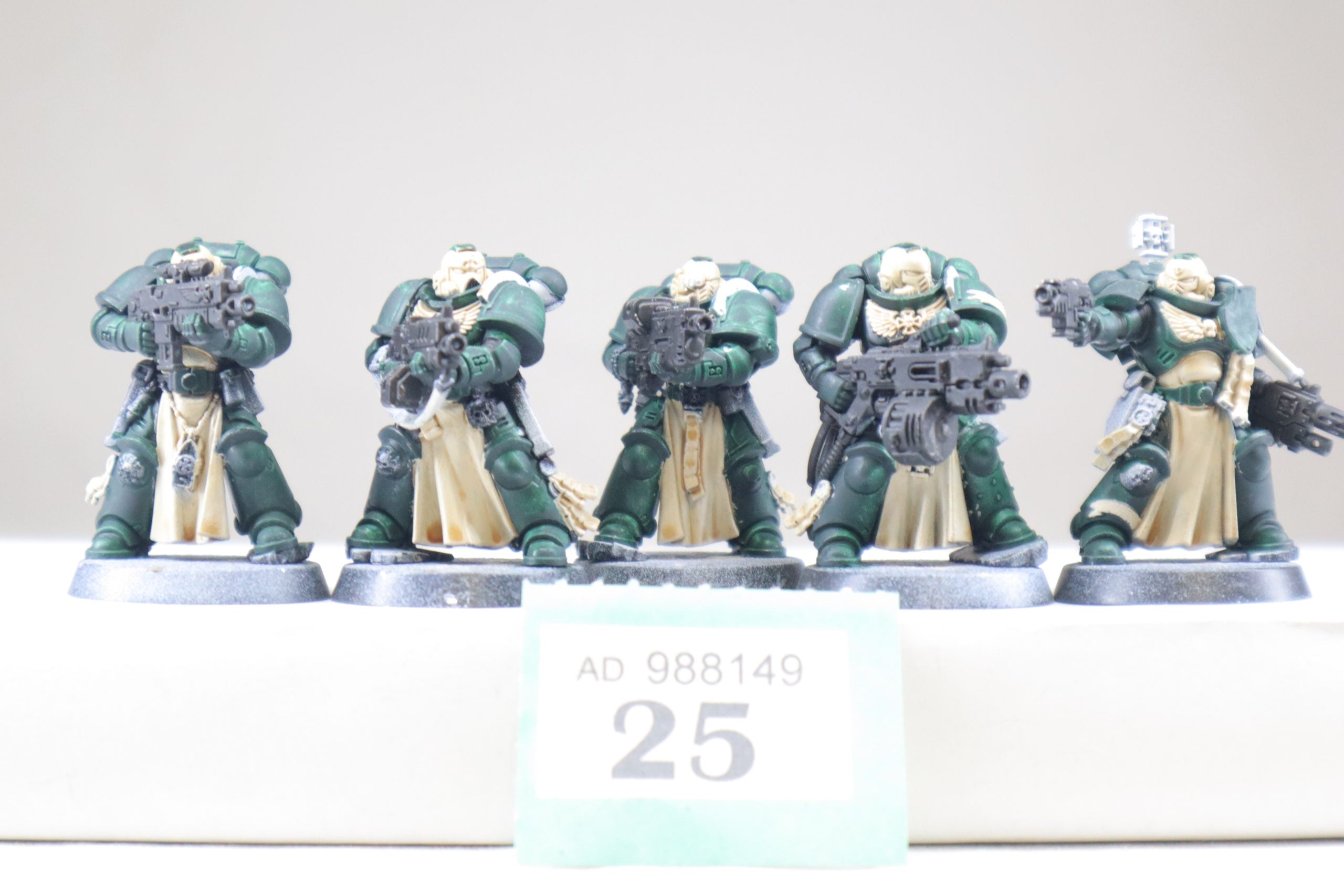 sternguard veterans (G25